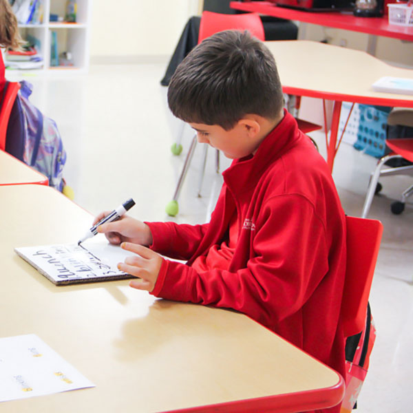 Education Minors