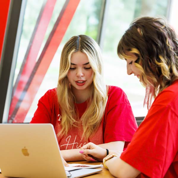 A Step-by-Step Plan for Career Success